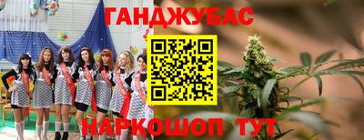 гашик Малгобек