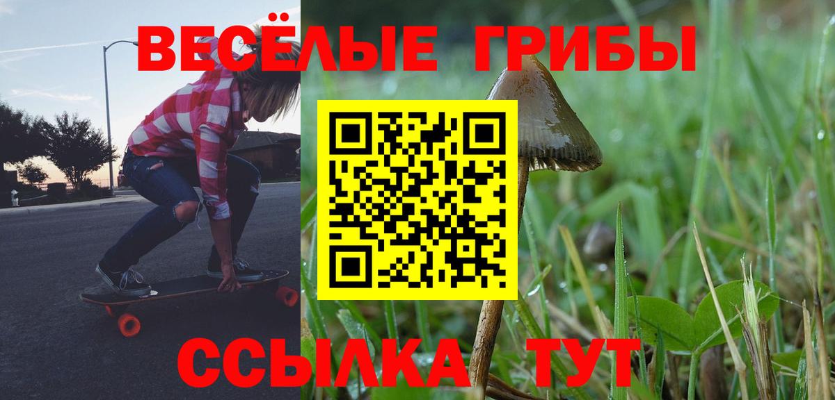 Беслан  Псилоцибиновые грибы ЛСД  Галлюциногенные грибы Psilocybine cubensis  Вход с VPN 